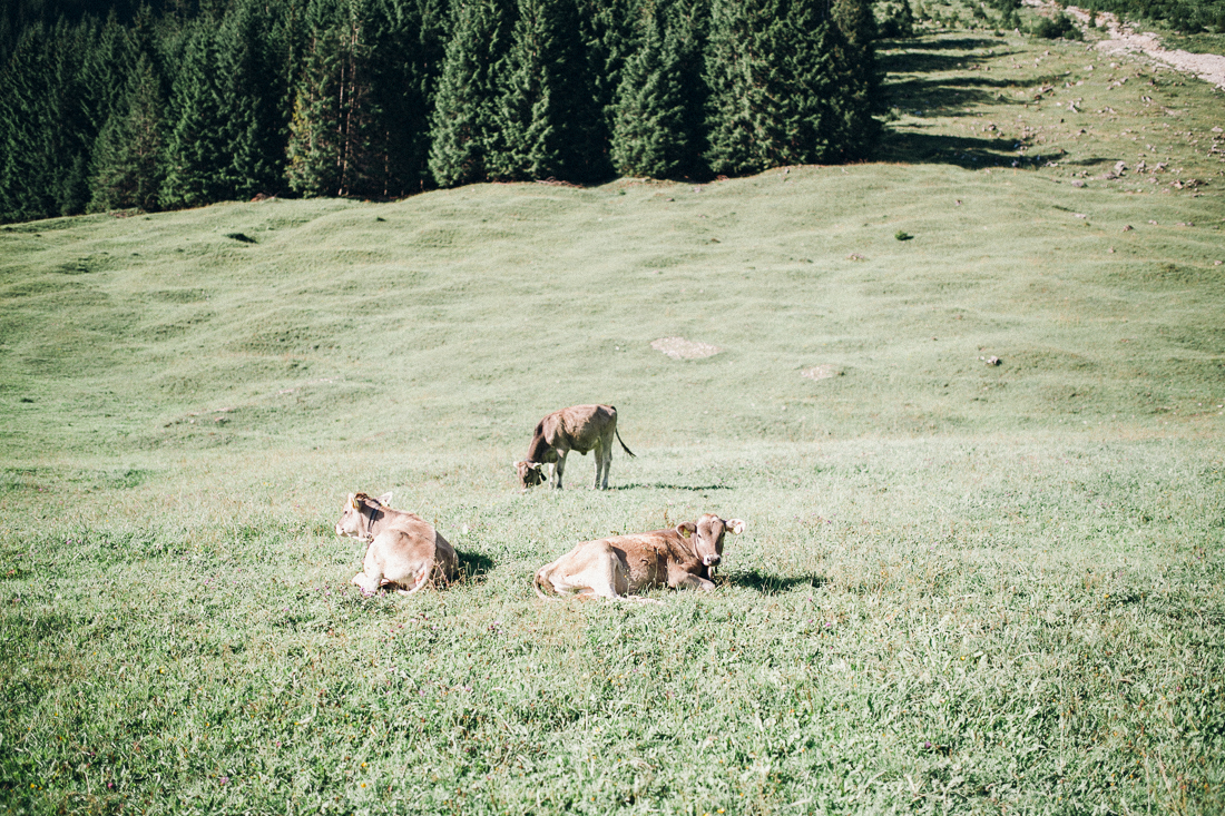 Hochzeitsfotograf-Oberstdorf-42