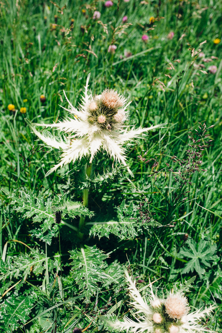 Hochzeitsfotograf-Oberstdorf-9